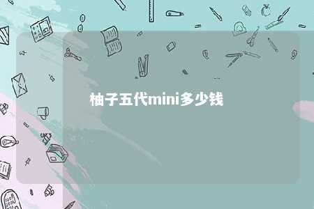 柚子五代mini多少钱